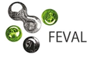 FEVAL Logo