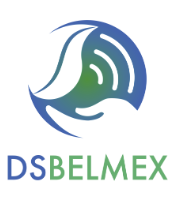 DSBELMEX Logo